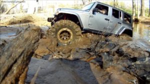 10 Jeeps Enjoying International Mud Day (June 29)