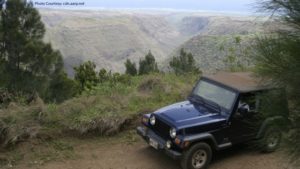 Off-Roading Through Hawaiian Rainforests on the Munro Trail