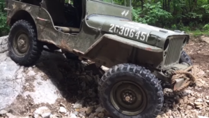 Willys
