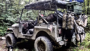 Jade the Jeep
