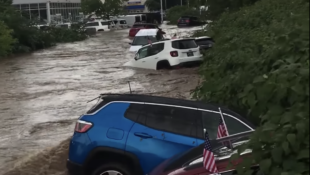 flooded Jeep