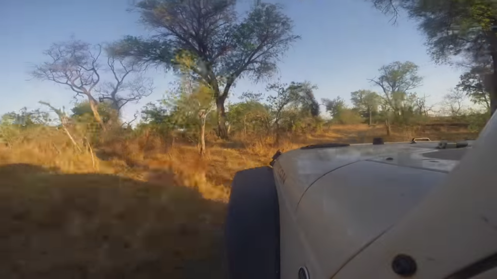 Jeep Wrangler Goes on Amazing Adventure in Botswana