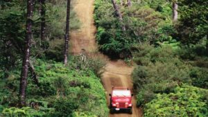 Jeep Trails That Need to be Experienced at Least Once
