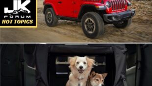 2019 Jeep Wrangler Named Among ’10 Best Cars for Dog Lovers’