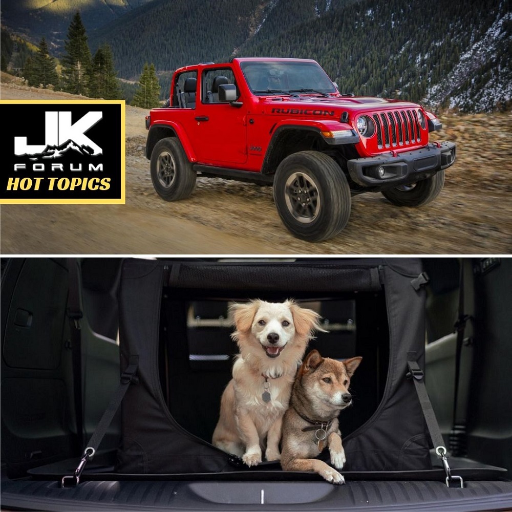 2019 Jeep Wrangler Named Among ’10 Best Cars for Dog Lovers’