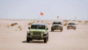 Jeep Wrangler Rebelle Rally Dominance