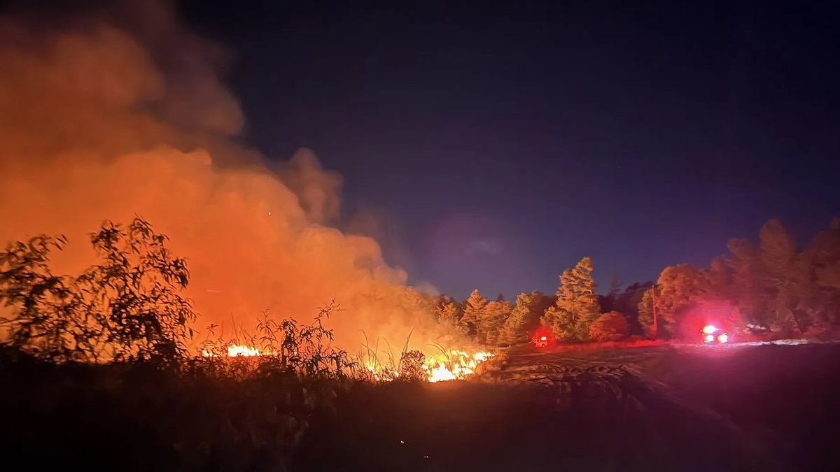 Stuck Jeep Wrangler Burns Down 20 Acres of Florida National Forest